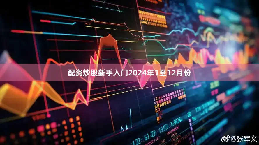 配资炒股新手入门　　2024年1至12月份
