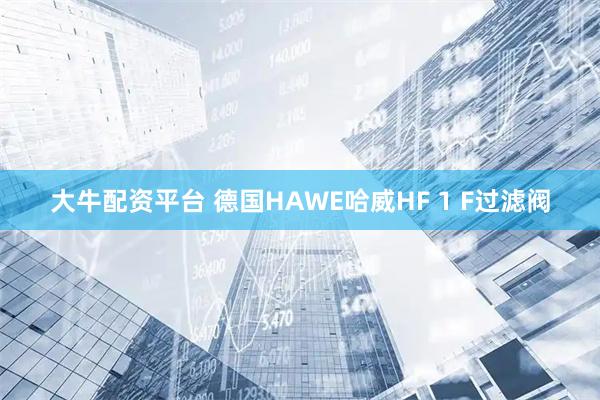 大牛配资平台 德国HAWE哈威HF 1 F过滤阀