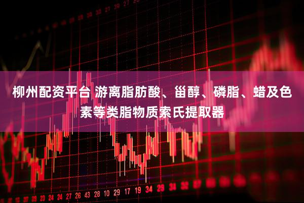 柳州配资平台 游离脂肪酸、甾醇、磷脂、蜡及色素等类脂物质索氏提取器